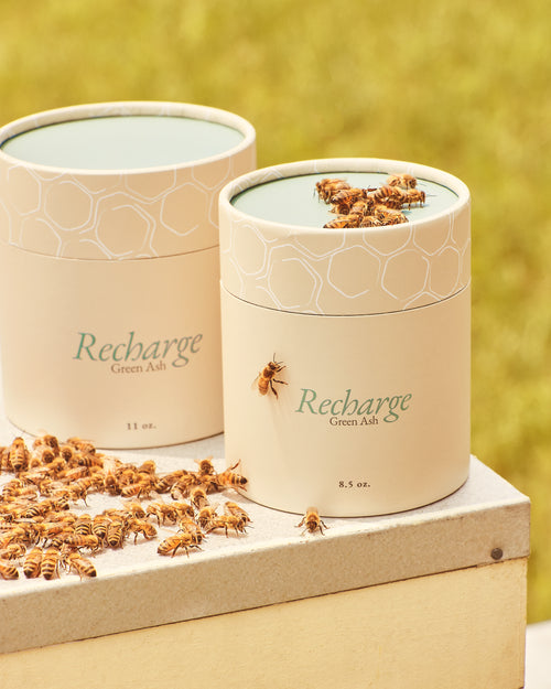 Green Ash Decor - Recharge - Kraft Tube Packaging