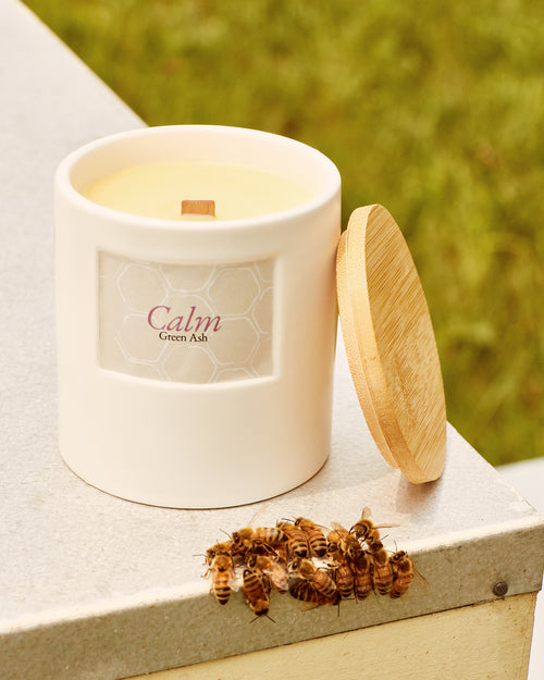 Green Ash Decor - Calm - Kraft Tube Packaging