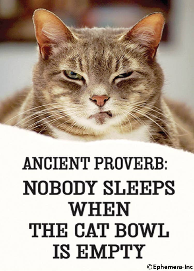 Ephemera - Magnet - Ancient proverb: Nobody sleeps⌠- Green Ash Decor