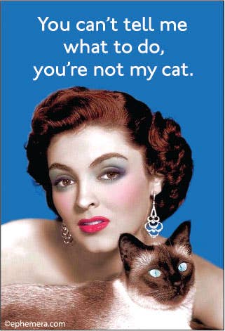 Ephemera - MAGNET: You can't tell me what to do, you're not my cat. - Green Ash Decor