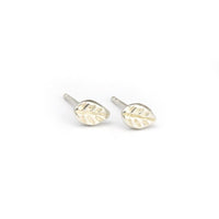 Marmalade Stud Earings in tube - Green Ash Decor