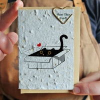 Seeded Memories Mini Cards made in Canada - Green Ash Decor