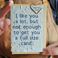 Seeded Memories Mini Cards made in Canada - Green Ash Decor