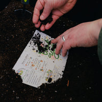 Seeded Memories Mini Cards made in Canada - Green Ash Decor